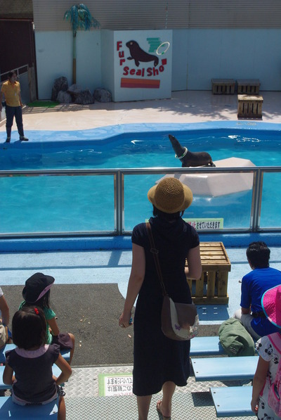 写真1