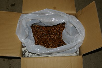 IMGP6343111111111111111111