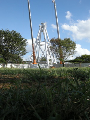 DSCN3119