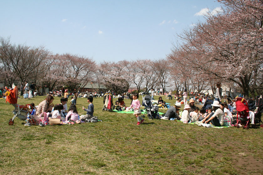 3 29入園料無料その2 東武動物公園の花と自然 公式ブログ 3 29入園料無料その2 東武動物公園の花と自然 公式ブログ