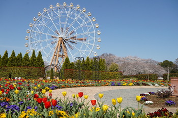 DSC01260