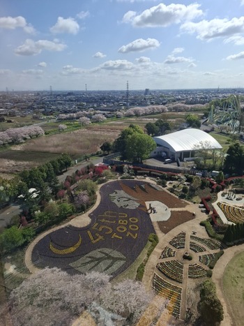 45��ǯ��ǰ���š������������֤���