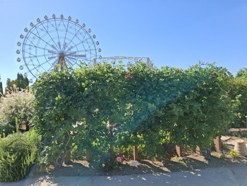 �Х魤
