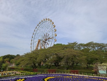 20260413_074947