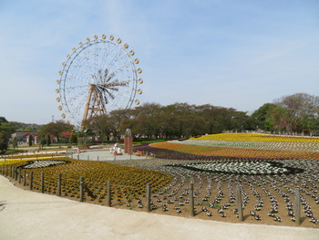 2022.4.13キャンバスガーデン1