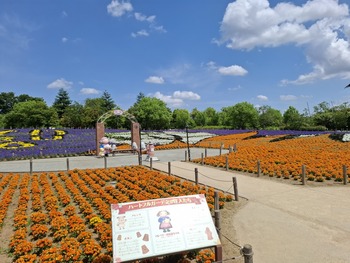 45��ǯ��ǰ���š�5��ե���