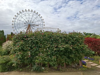 �Х����̡��餯��