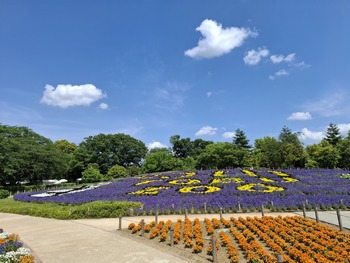 45��ǯ��ǰ���š�5�ʸ��