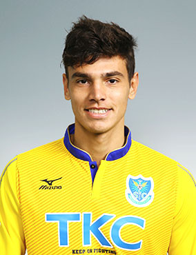 今シーズンの栃木scについて おさるの栃木sc応援ブログ