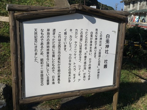 aa 2703
