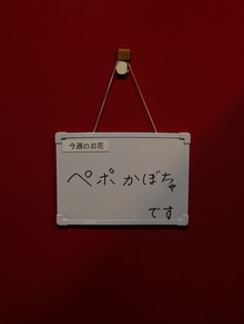 写真 4