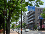 市役所南通り(戸田市)