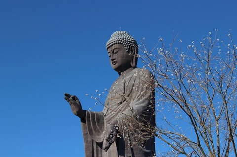 2284651424e7606f2a061b097b2342e6