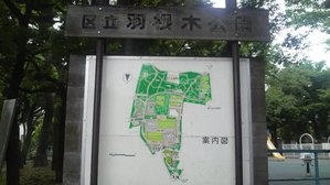 羽根木公園1