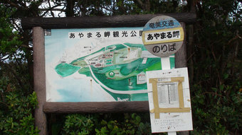 DSC00265