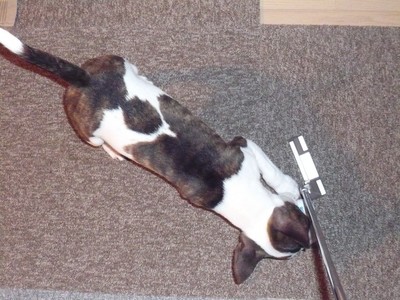 ����եܡ��롡�ס�����