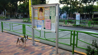0d2207b4.jpg