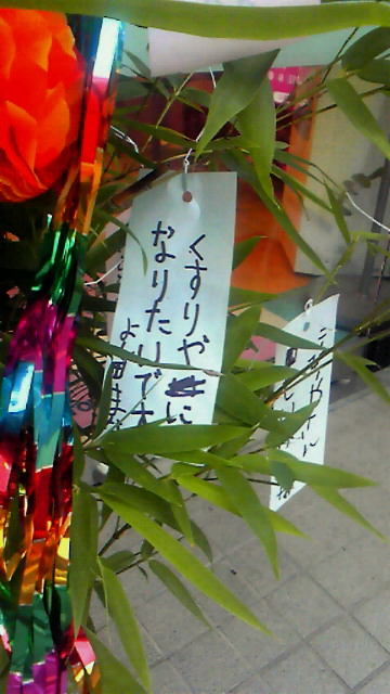 12351b84.jpg
