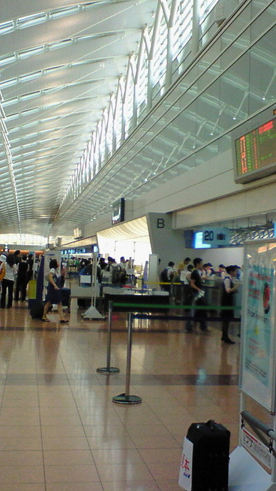 206e1d19.jpg