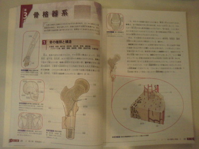 2103257d.jpg