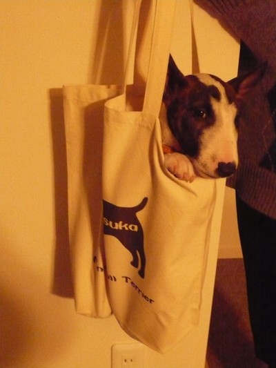 �ס�����