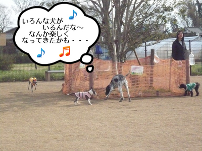 ドッグラン プースカ