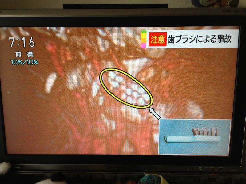 戸田サクラ歯科 院長のひとり言 ご注意 Livedoor Blog ブログ