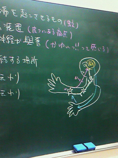 5fe66a3f.jpg