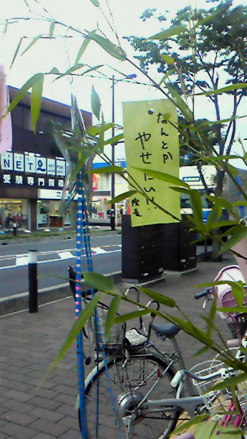 781d70ea.jpg