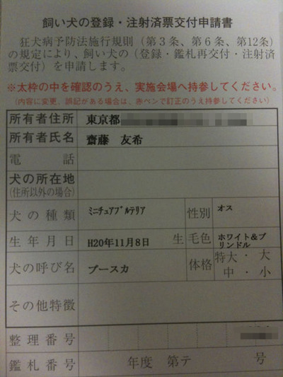 BlogPaint