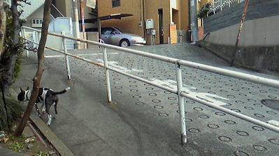 b0965d52.jpg