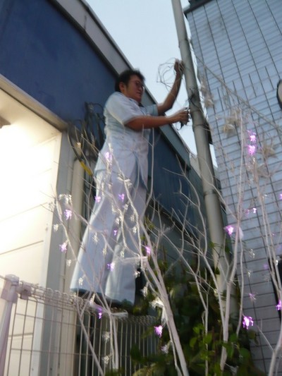 イルミネーション作成中