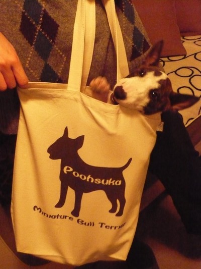 �ס������������Хå�