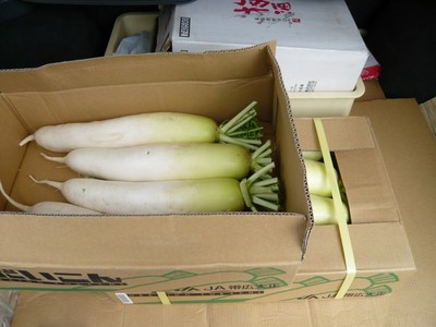 �纬