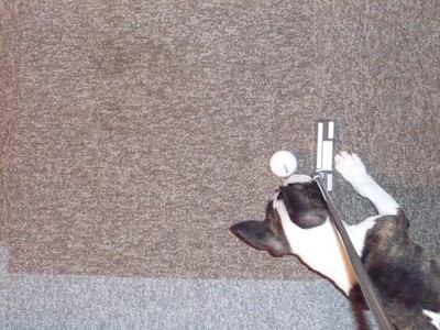 ����եܡ��롡�ס�����