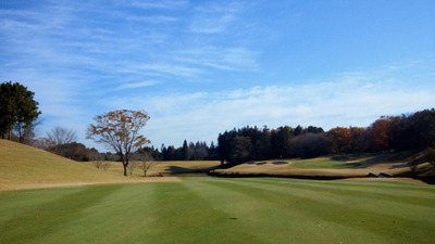 f34f3488.jpg