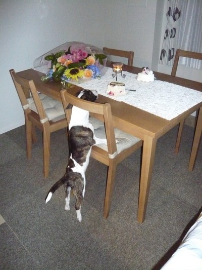 誕生日ケーキ 31