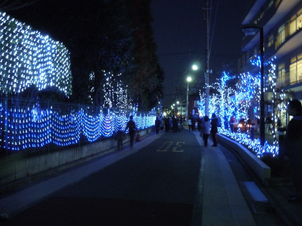 DSCN0382