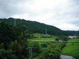 e65f8f93.jpg