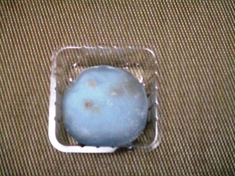チョコミントわらび大福 コンビニスィーツ トドの戯言 チョコミントわらび大福 コンビニスィーツ トドの戯言