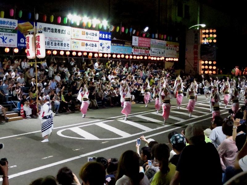 鳴門市阿波踊り19 トドの戯言