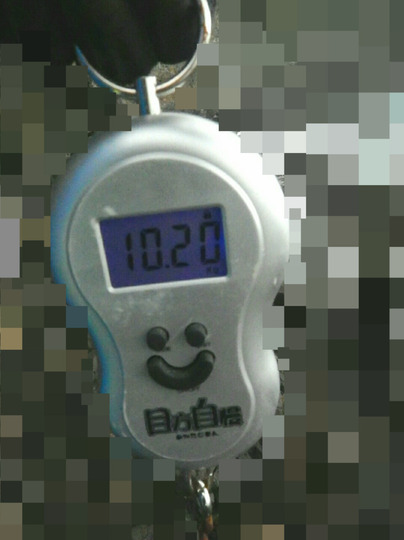 BlogPaint
