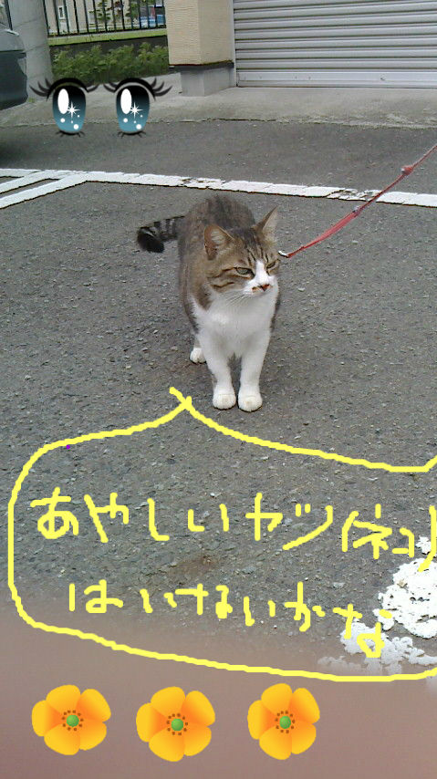 BlogPaint