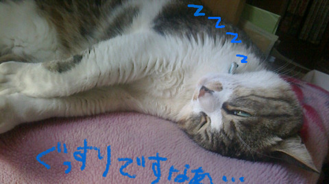 BlogPaint