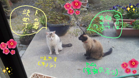 BlogPaint