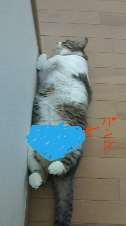 BlogPaint