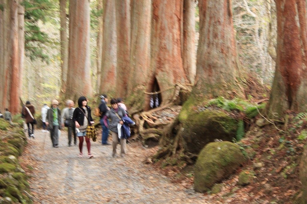 戸隠神社奥社杉並木 吉永小百合さんの入った杉のうろ 戸隠神社 神秘なるパワースポット 戸隠神社奥社杉並木 吉永小百合さんの入った杉のうろ 戸隠神社 神秘なるパワースポット