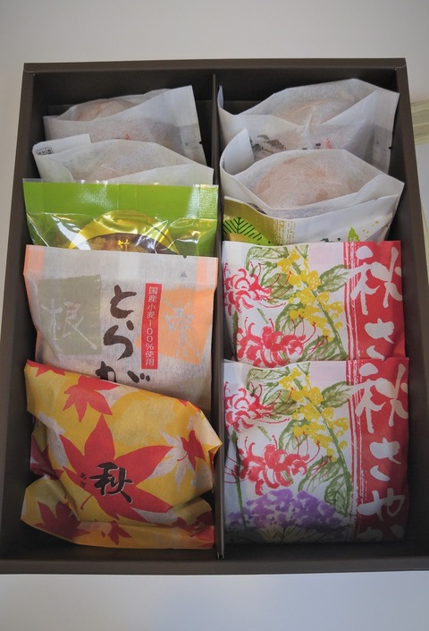 20191017_145309r-t1000