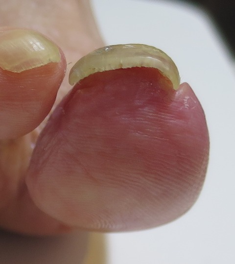 IMG_2629-t-d44解除＃57183