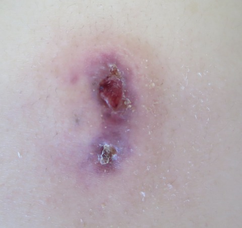 IMG_2500-t-6月15日